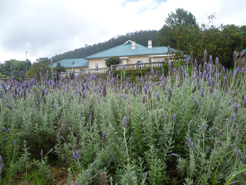 Senani Colonial Holiday Bungalow Nuwara Eliya Quarto foto
